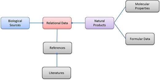 The entity relationship diagram of NPBS database.