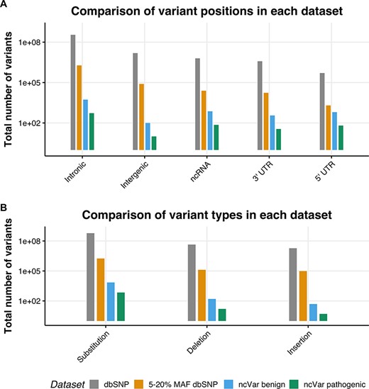 The location and single-nucleotide polymorphism (SNP) types of ncVarDB variants in comparison to variants from the dbSNP database. A comparison of the variant positions and the type of variants in every SNP in dbSNP dataset excluding variants from alternate contigs (dbSNP), every non-coding SNP with a MAF between 5 and 20% (5–20% MAF dbSNP), the ncVar benign dataset and the ncVar pathogenic dataset. (A) A comparison of the frequency of genomic positions of variants present in each dataset. Positions are based on the genomic notation submitted with the variant in either dbSNP or ClinVar. (B) A comparison of the frequency of variant types for each dataset. Variant types have been simplified to three types to avoid type expansion.