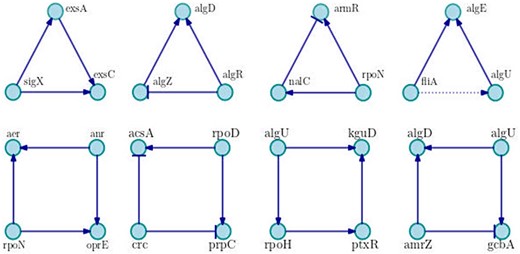 Examples of main motifs of three and four nodes. We show the most frequent motifs in the network, in each case a particular example is shown. Positive interactions are represented by arrows with triangle end, negative interactions are drawn with bar end and unknown interactions are presented in dotted lines.