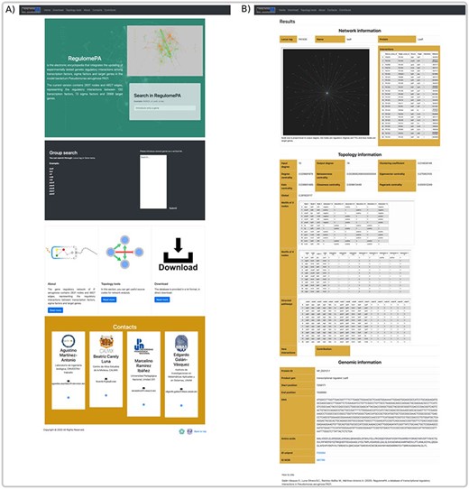 Homepage and gene search at the user interface of RegulomePA. (A) The homepage in RegulomePA, (B) Search results page for a specific gene. As an example, we show the LasR search return: the subgraph of its neighbors, interaction list, topological information, and genomic information.
