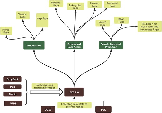 The basic scheme for constructing CEG 2.0 and the structure of CEG 2.0.