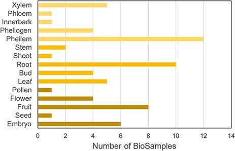Distribution of cork oak publicly available NCBI BioSamples related to RNA-Seq data sets, according to cork oak tissue or organ.