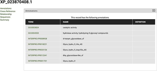 View of InterPro and Gene Ontology annotations for polypeptide sequence XP_023870408.1, obtained by selecting the ‘Annotations’ tab in the CorkOakDB.