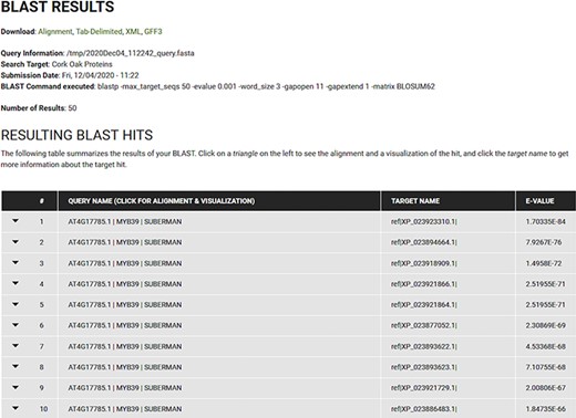 BLAST results for blastp search of the Arabidopsis MYB39 transcription factor on the cork oak protein database displayed in CorkOakDB.