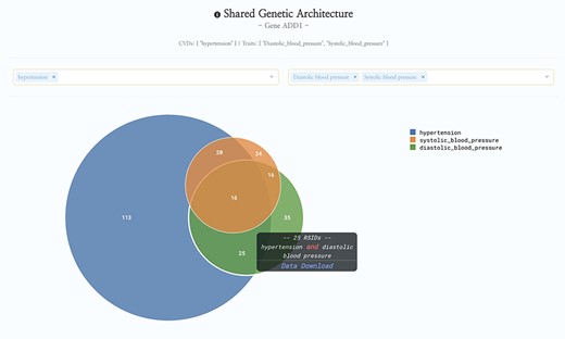 HeartBioPortal2.0’s shared genetic architecture feature. The gene ADD1 is known to be associated with salt-sensitive essential hypertension—here we see the shared genetic architecture of that gene’s variants (represented as unique reference SNP ID number (rsID) accession identifiers) across the continuous cardiometabolic spectrum from health (systolic and diastolic blood pressure) to disease (hypertension), facilitating the understanding of CVD trait genetics underlying health-to-disease transitions and endophenotypes. HeartBioPortal’s frontend design philosophy has always been to keep the user interface clean and minimalistic to ensure viewer comprehension and avoid potential confusion; therefore, additional details can be acquired from the hyperlinked data download, which is presented in a tidy .csv format amenable to follow-up analyses.