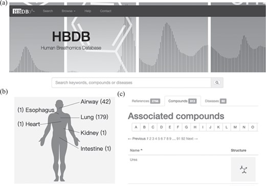 User interface and visualization of disease mapping. (a) Browse and search interface of the HBDB. (b) Disease mapping to human physiology and statistics of references associated with diseases. (c) The collected compounds, references and diseases are listed in three tabs for browsing.