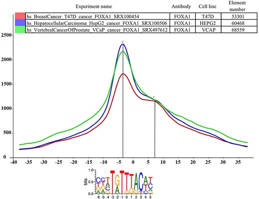 The distance distribution of FOXA1 summits relative to the motif centers of FOXA1 binding sites. The horizontal axis represents the distance of summits in different cell lines [T47D (SRA ID: SRX100454, red curve), HepG2 (SRA ID: SRX100506 blue curve) and VCaP (SRA ID: SRX497612, green curve)] relative to the FOXA1 motif center. The vertical axis represents the distance frequencies. A rolling mean with a 5 bp window was applied to smooth the frequency curves. The distance between the maxima (main summit, maxima at −3 bp) and the shoulder (7 bp) is ~10 bp. Element numbers in the table indicate the number of peak regions obtained in a ChIP-seq experiment, which overlap with a particular consensus motif binding site set. Figure is adapted from ChIPSummitDB website: http://summit.med.unideb.hu/summitdb/paired_shift_view.php?exp1=419&exp2=1960&exp3=3681&motive=FOXA1&motifid=77&limit=25&low_limit=-25&formminid=1&formmaxid=10000&mnelem=100&formmaxelem=120000.