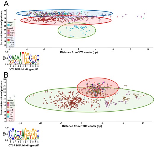 The standard deviation of the distances of the peak summit and binding site centers shows the DNA–protein proximity. Each scatter represents average summit position from a single ChIP-seq experiment. The X-axis represents the distance from the binding site center, which position is marked by `0’ in the binding motif logo. The standard deviation of the summit-motif center distances is shown on the Y-axis. (A) The proteins, which show interaction with YY1 binding sites, are arranged in three groups. The lowest SD (between 16 and 22) belongs to YY1 protein, which binds directly to the YY1 DNA binding motifs. In the second layer, CTCF and cohesin subunit (RAD21, SA1) ChIP-seq signals are the most common. The third group with high SD, above 27, represents a diverse population, which consists of ChIP-seq experiments with different protein targets and more than 1000 overlapping peaks. The P300 and MAX proteins from Group 3 are labeled by red and green colors, respectively. The figure was slightly modified and adapted from ChIPSummitDB website: http://summit.med.unideb.hu/summitdb/motif_view.php?maxid=10000&minid=1&mnelem=1000&mxelem=120000&motive=YY1. (B) In the case of the CTCF binding sites, only two layers can be distinguished. In the first group, the directly interacting CTCF, RAD21 and SA1 proteins can be found, while the YY1, P300, MAX and other proteins are presented in the second group. Please note that the relative position of the YY1 and CTCF proteins to each other is the same on both plots. The figure was slightly modified and adapted from ChIPSummitDB website: http://summit.med.unideb.hu/summitdb/motif_view.php?maxid=10000&minid=1&mnelem=5000&mxelem=120000&motive=CTCF