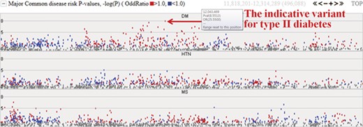 Disease risks of type II diabetes (DM), hypertension (HTN) and metabolic syndrome (MS). Each dot represents risk P values (–logP). The red and blue colour indicates odds ratio ≥1.0 and <1.0, respectively. The horizontal axis denotes the genomic positions of the chosen chromosome (chr1).