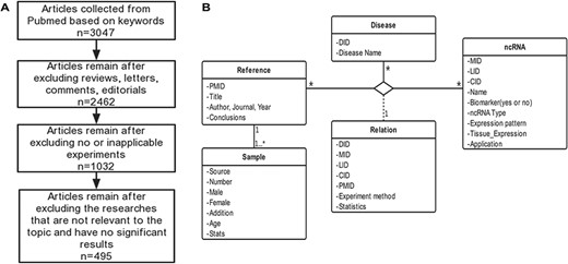 Schematic workflow of CVDncR. (A) The workflow of data filtering. (B) The E-R model of the CVDncR database.