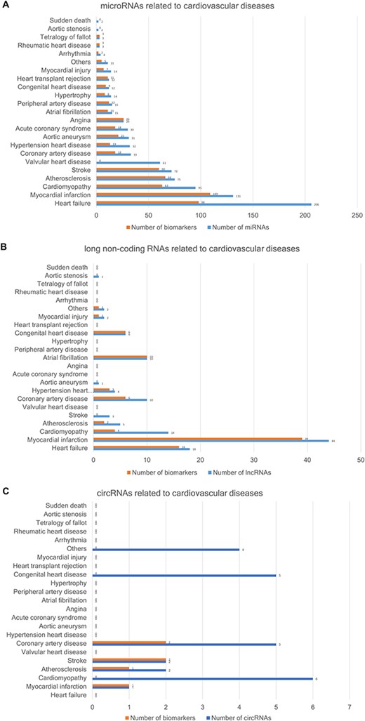 The number of ncRNAs related to CVDs. (A) The number of miRNAs. (B) The number of lncRNAs. (C) The number of circRNAs.
