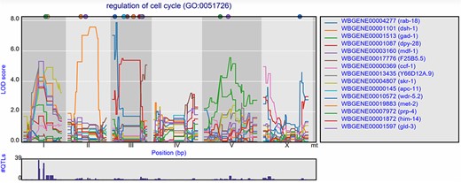 eQTL transband on chromosome X in Rockman et al. (67). The eQTL profiles of the top-15 highest eQTLs at marker rmm1258 in Rockman et al. are shown as profiles. Colors indicate different genes. The legend is shown on the right. Chromosomes are indicated by different gray backgrounds and below the x-axis. The web-based plot is interactive; a mouse over provides the exact base pair position of each QTL or other point on the profile. Moreover, more than the top-15 can be added to the plot creating a custom overview.