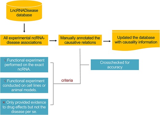 The workflow in annotating the causality information for lncRNA– and circRNA–disease associations.