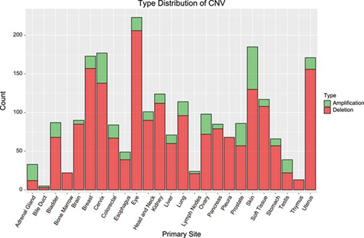 Distribution of CNVs among cancer types. Bar height indicates the number of genes with CNV in the primary site. Amplification = amplified regions. Deletion = deleted regions.