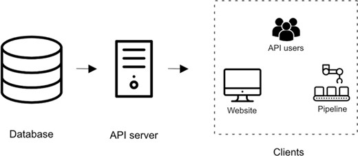 Overview of iPTMnet Architecture. The overall iPTMnet architecture has three distinct layers. The database layer is built using Oracle or Postgres and holds the iPTMnet data. The API server layer is the actual API server software that encapsulates the logic to interpret requests and return a response in an appropriate format. The client layer consists of various frontends like the iPTMnet website or the Python and R packages.