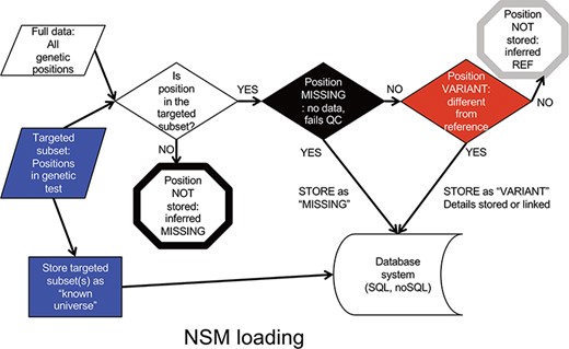 NSM data loading process. The process for determining what information should actually be stored in the database.