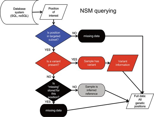 NSM data querying process. The process for extracting precise information for a given position based on the model and information stored in the database.