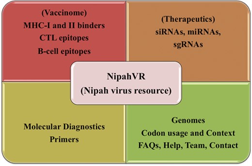 Overview of NipahVR resource components.