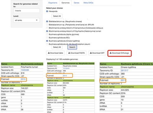 SymGenDB’s Genomes module. Continuing with the example on symbionts of insects, we searched for those genomes and selected 3 of the 169 available in SymGenDB’s. The resulting table (viewed horizontally for spacing purposes, although it is presented vertically in the database), consists of all the metadata of the genomes of our choice, with a link to the host’s taxonomy id from NCBI. It is important to show that one of the downloads available in this module is the orthology table of the chosen genomes (shown in red) which is very helpful for evolutionary research. Furthermore, the literature where this genome was first described is also made available to users (shown in orange).