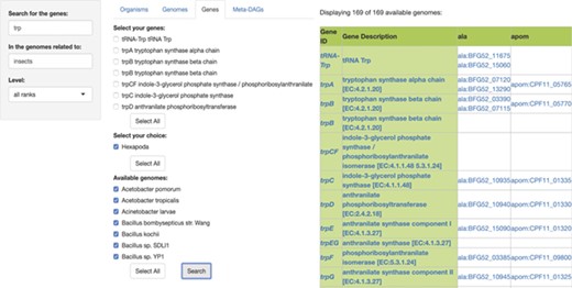 SymGen’s gene module. For this example, we searched for all the genes containing the letters ‘trp’ in the genomes of symbionts of insects. We selected all of the 169 available genomes. The resulting table is a list in a presence/absence format, where all the present genes are shown with their KEGG id and a link to their KEGG gene web page. The ‘Gene ID’ and the ‘Gene Description’ features are both linked to their KEGG orthology web page.