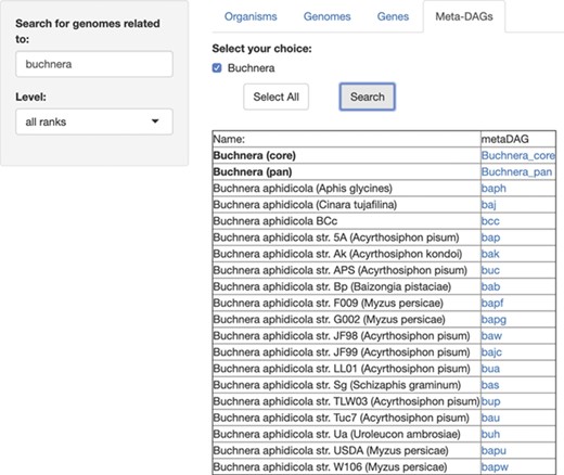 SymGenDB’s new MetaDAGs module. In this example, we search for the symbionts of the genus ‘Buchnera’. The output is a list of organisms as bacterial strains, as well as the joint (pan) or intersecting (core) metabolism of the strains resulted in the search, included in the taxonomic level ‘genus’ (in bold). It is important to denote that in the case of the ‘pan’ and ‘core’ interacting metabolism, not only the genomes of the bacterial strains resulting from the search are presented. The complete set of strains of the same genus available in SymGenDB constitutes these MetaDAGs.