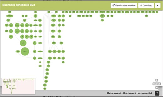 SymGenDB’s new MetaDAGs module’s output. In this example, we search for the symbionts of the genus ‘Buchnera’. The output is a preview of a graphical display of the MetaDAG you get by choosing Buchnera aphidicola from Cinara tujafilina. This dynamic display can be viewed in another window, downloaded as a PDF and all the information of the reaction(s) included in each node(s) is available by clicking on the node(s) of interest.