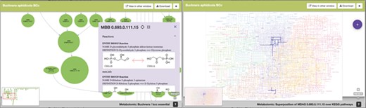 SymGenDB’s new MetaDAGs module’s output where users can not only see the reactions included in their graph of interest in detail but also contextualize the reaction within the KEGG metabolic map. We have included a feature to highlight the reaction(s) of interest for this purpose.