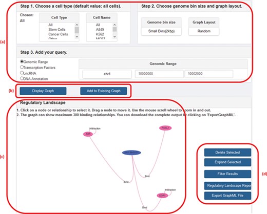 A screenshot of GREG’s web platform (basic mode). (a) Input data: cell type, DNA bin size and query (genomic range, transcription factor, lncRNA or DNA annotation). (b) Options to run query: either display new graph or add query to existing graph. (c) Results window: data associated with each node or relationship (see Table 1) can be visualized by hovering over the graph. (d) Options to manage results: delete or expand selected nodes or relationships, filter results by a given type of relationship, print a summary report or export a graph to a graph format.