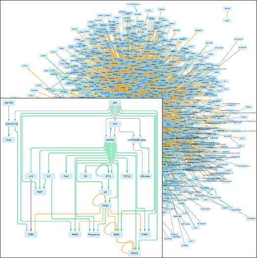 GRN returned by pyBRAvo. The color code of the edges gives their provenance: orange for CTD, purple for Panther, green for PID, red for Reactome and gray for the expansion of protein complexes. The edge tips depend on the interactions type: triangle for an activation, bar for an inhibition, arrow with bar for an unknown interaction type and diamond for a complex composition. This graphical export was made with Cytoscape 3.7 (13), following the instructions of Supplementary Methods G.
