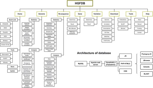 Framework of HGFDB. Eight main modules are highlighted in the dark yellow boxes. The corresponding contents of each module are listed below. The bottom right shows the architecture of HGFDB.
