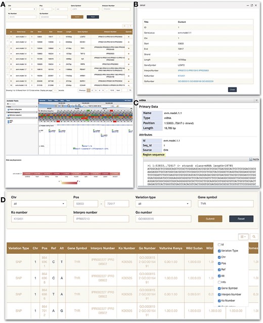 Gene and Variation modules. (A) Gene search module. (B) Click on operate button shows the detailed information. (C) Click on sequence in the JBrowse to view detailed information. (D) Variation module.