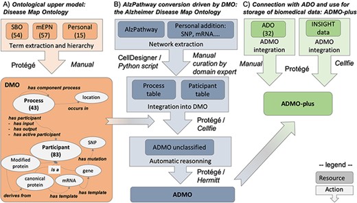 Summary of the workflow for AlzPathway conversion in OWL, from the DMO design to ADO instantiation and data integration. (A) DMO design. (B) AlzPathway export into a structured table and its integration with DMO, resulting in ADMO. (C) Integration of ADO and biomedical experiment data resulting in ADMO-plus. This is not a pipeline, but a step-by-step process, in which manual and automatic steps are specified. Specifically, for each step, we indicate whether it was done manually (Manual) or mention which tool was used to do it automatically (Protégé, Cell designer, Python script, Cellfie, Hermitt).