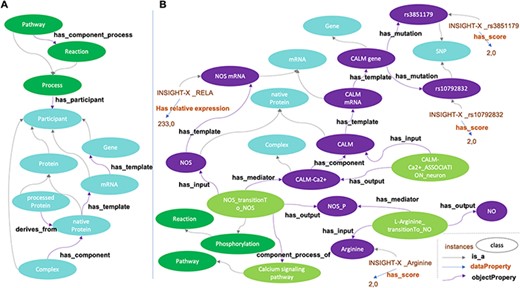 Disease Map Ontology (DMO) pattern (A) and application to Alzheimer Disease Map Ontology (ADMO) (B). AlzPathway derived-classes (B; illustrated for the Nitric Oxide Synthase phosphorylation and NO production) are now subclasses of DMO classes (A). Each class of ADMO may be instantiated by the corresponding entities as individuals. As illustrated in B, for a subject, scores for SNP rs3851179, RELA mRNA expression and Arginine measurement are linked by biochemical reactions.