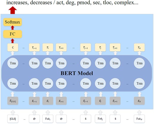 The BERT model for RE/FD.