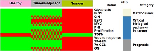 Comparisons of biological characteristics of the three breast tissues by means of GESs. The first row presents the three types of breast tissues. The other rows, from top to bottom, present significant GES scores in function of tissue type (green: low score; red and green checkerboard pattern: intermediate score; red: high score). This figure is an illustration of Supplementary Table S3.