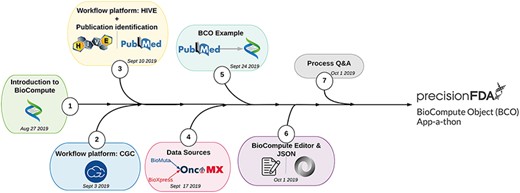 User BCO training process.