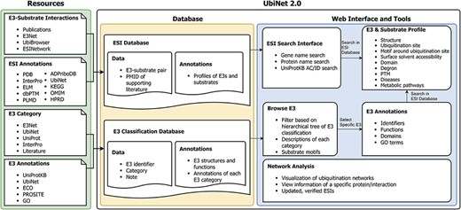 Schematic representation of the data integration and database construction and the development of web interface and analytics tools of UbiNet 2.0.