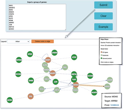 The visualization tool used to generate a network of a list of proteins specified by users.
