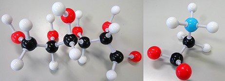 Disease biomarkers; Black, Grey, Red and Blue sphere colors correspond to C, H, O and N, respectively. (i) Diabetes biomarker (Glucose—C6H12O6). (ii) Encephalopathy biomarker (Glycine—C2H5NO2).