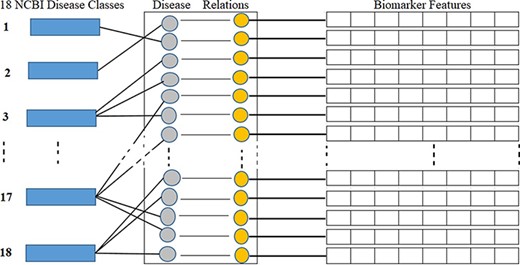 Disease classes, disease-biomarker relations and biomarker feature connectivity.