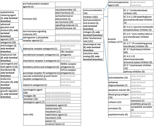 (c) The ‘biological role classes of the revised role tree, which is further subcategorized into the most prominent biological functions. Some of these are terminal branches, while others are subdivided into more specific biological role types for greater specificity. The number of entries per level is indicated at the end of each branch’s label.
