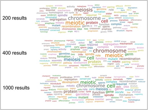 Word clouds for the keyword ‘meiosis’ obtained by combining 200, 400 and 1000 maximum results from the Textpresso API and with plain frequency word counts.