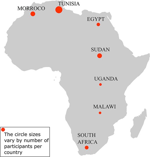 Participants’ representation by country in the hackathon. The hackathon involved 24 participants from seven African countries: Tunisia (8), Morocco (4), Sudan (4), South Africa (3), Egypt (3), Uganda (1) and Malawi (1).