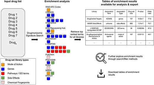 The Drugmonizome signature search workflow. A set of drugs is submitted for enrichment analysis across all the Drugmonizome gene set libraries. The enrichment results are provided in tables that enable further exploration of the overlapping drugs.
