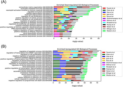 Top 20 enriched GO Biological Processes terms for the 12 in  vitro SARS-CoV-2 drug screens. Enriched terms are ranked by the sum of the −log(P-value) of the term across all screens. The enriched terms are applied to the consensus downregulated (A) and upregulated (B) genes for each drug in each set based on the data provided from L1000FWD (29).