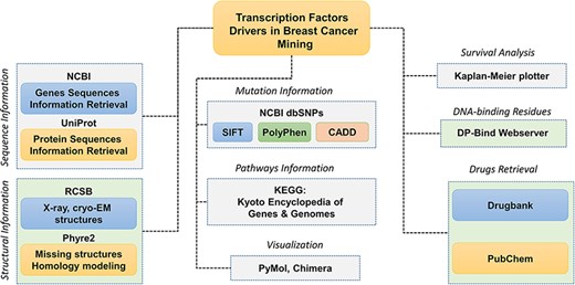 Schematic representation of the database components and data analysis modules used to obtain the specific results. Each tab is tagged, and their respective analyses of webservers or software are also given.