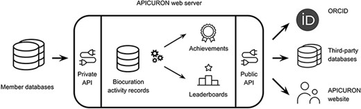 APICURON workflow.