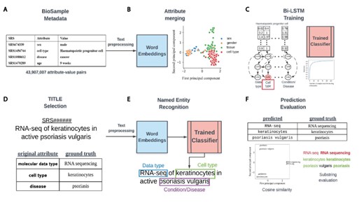 Overview of classifier training and metadata prediction workflow. (A) A few examples of the 44 million attribute-value pairs in SRA BioSample. (B) Word embeddings of preprocessed values allowed for the clustering and merging of attributes that were similar in the embedding space. (C) A subset of attribute-value pairs was split into a training and test set and a bi-LSTM classifier was trained to identify 11 metadata categories. (D) TITLEs were selected as the free-text for NER using the trained model. An example TITLE with associated ground truth labels is shown. (E) These TITLEs were preprocessed into n-grams and fed into the trained classifier after word embedding to generate metadata predictions for the 11 categories. (F) Comparisons to ground truth metadata were done using substring matching and cosine similarity in the word embedding space.