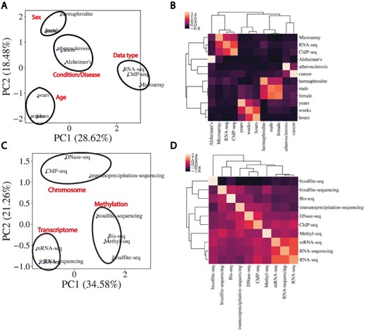 Word embeddings capture semantic similarities between words. (A) Dimensional reduction using PCA to visualize vectorized representation of a set of words encapsulating disease, age, data type and sex. (B) Corresponding correlation heatmap of the z-scored cosine similarity between words, with hierarchical clustering shown. (C) Same as (A) for data types. (D) Corresponding correlation heatmap of z-scored cosine similarity between words in (C).