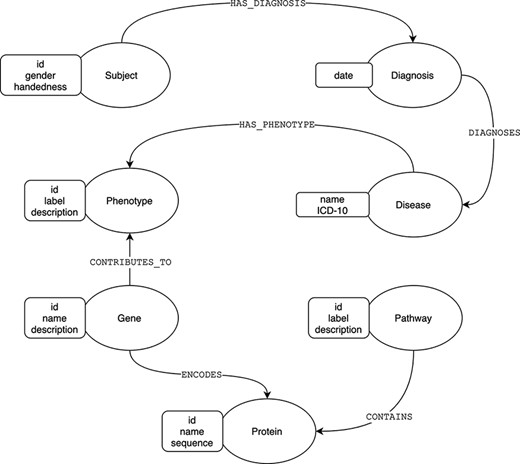 Graph model of diagnoses and its related phenotype–genotype and pathway implications.